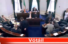Here are the 15 senators who opposed the abortion legislation