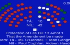 Senators vote against fatal foetal abnormalities amendment