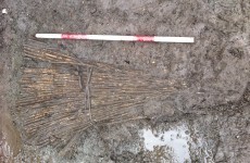 Archaeologists find ancient fish trap at Dublin quays site