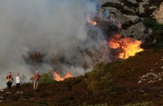 Top readers' comments of the week