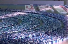 WATCH: Insane dominoes world record display