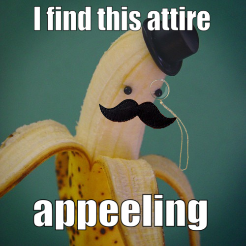 The Guide To Making Terrible Puns The Daily Edge