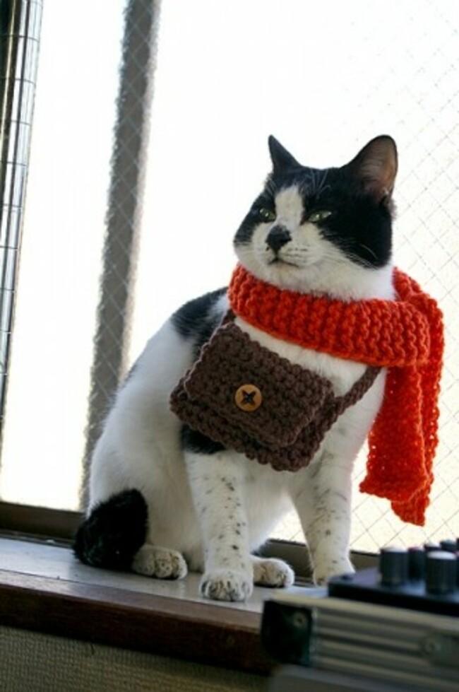 Majestic as fuck with a scarf & purse - Imgur