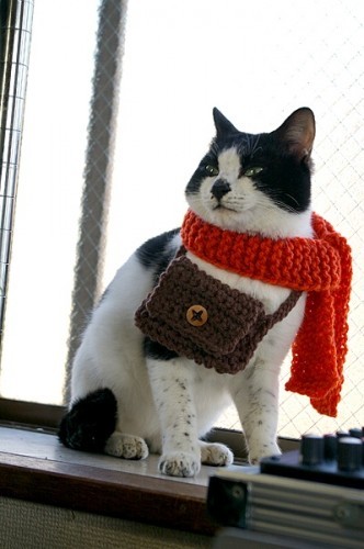 Majestic as fuck with a scarf & purse - Imgur