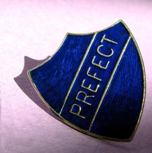 Prefect badge/pin