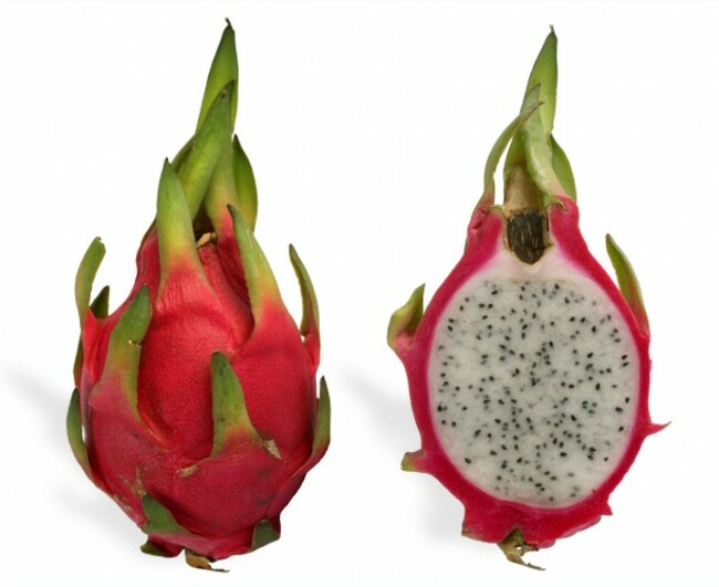 dragonfruit