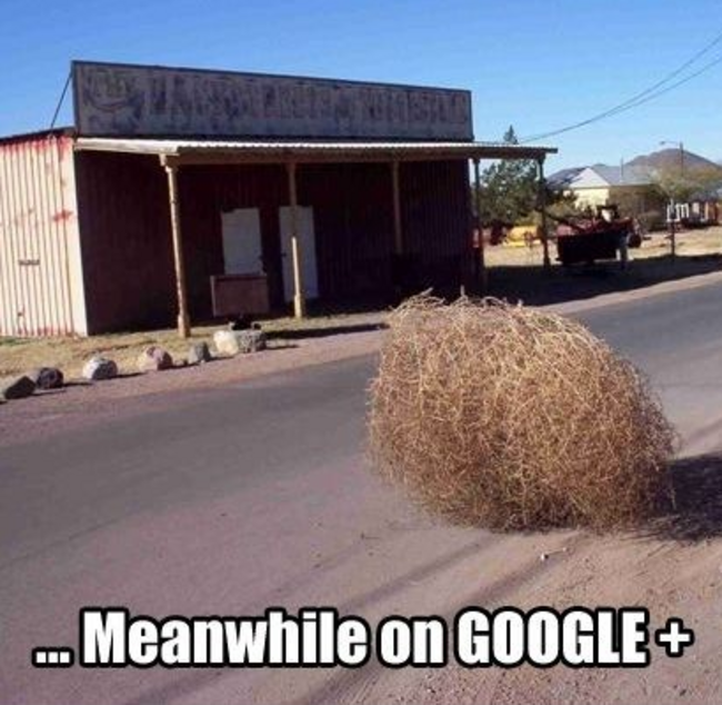 googleplus