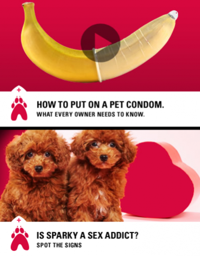 petcondoms