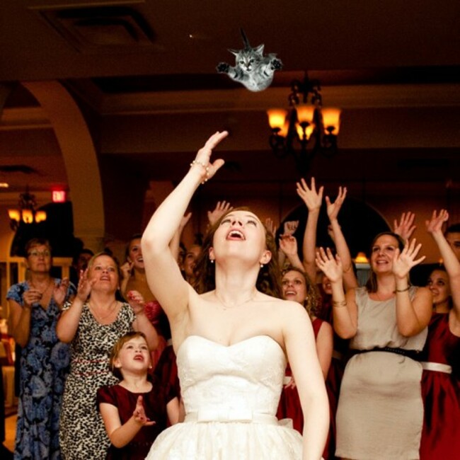 Brides Throwing Cats: Photo