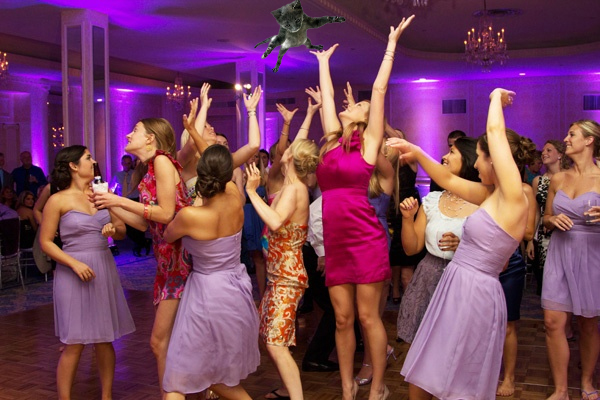 Brides Throwing Cats: Photo