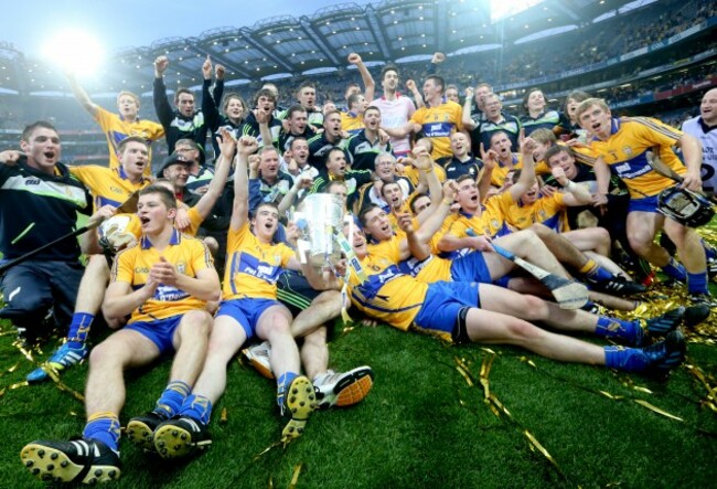 The Clare team celebrate