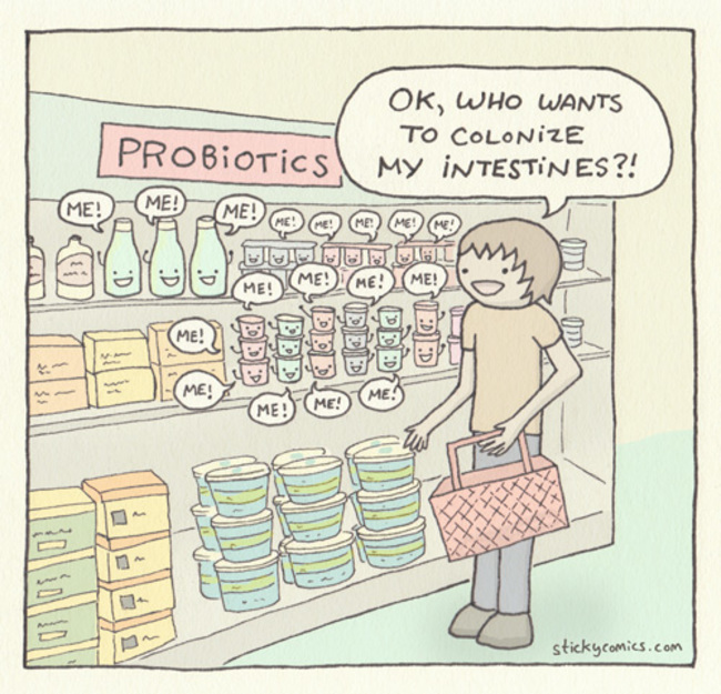 probiotics