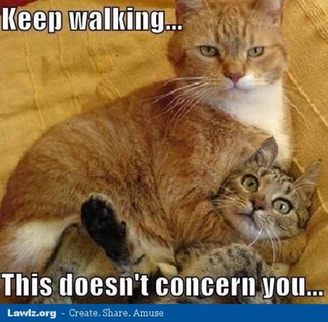 cat-meme-keep-walking-this-doesnt-concern-you