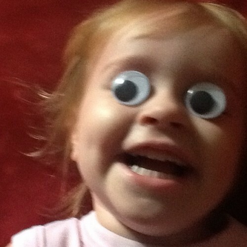 Definitive proof that everything is better with googly eyes