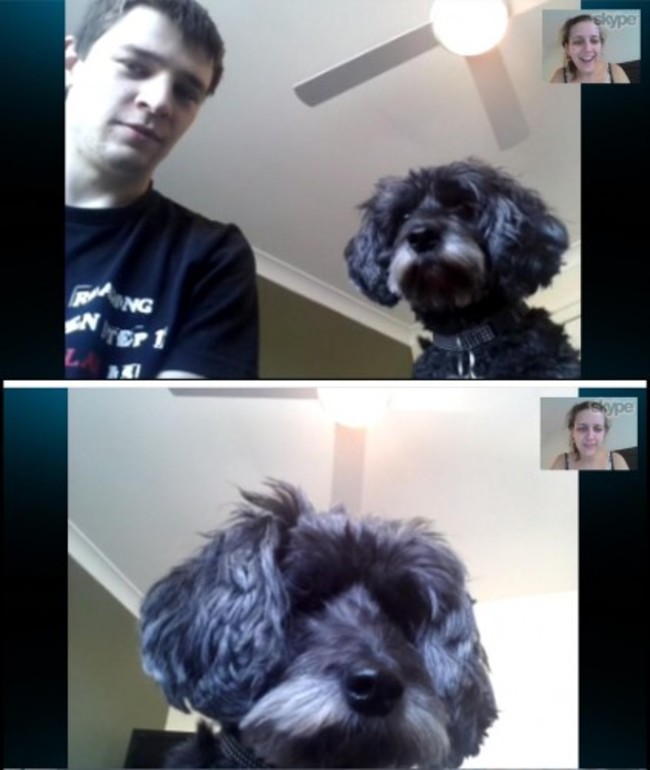 Every time I Skype my husband, my dog takes over the computer - Imgur