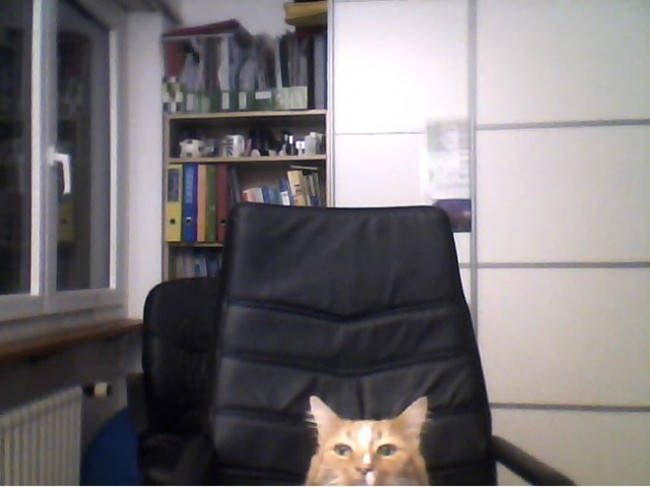my girlfriend went to get a drink, and her cat wanted to Skype me too - Imgur