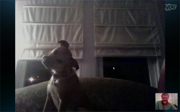 My dog's first Skype date. - Imgur