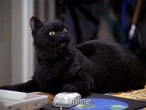 The Essential Life Lessons We All Learnt From Salem Saberhagen