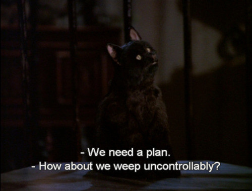 The essential life lessons we all learnt from Salem Saberhagen