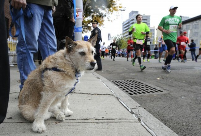 NYC Marathon Athletics