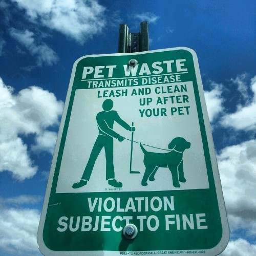 I don't usually walk with a golf club behind my dog nor do I clean up shit with one... - Imgur
