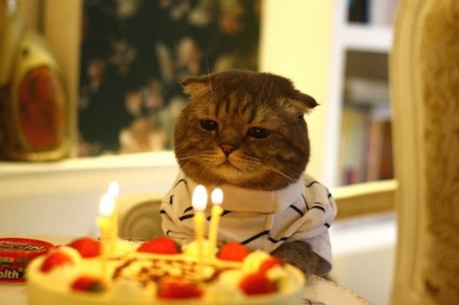 Alone on my birthday... - Imgur