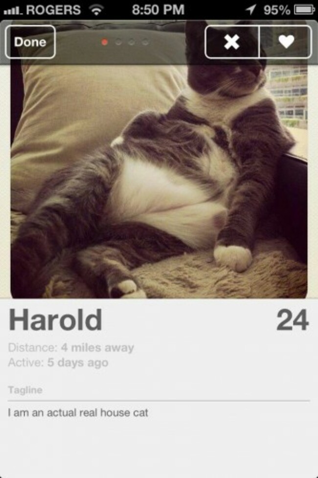 started using Tinder today, lets just say this guy got my like - Imgur