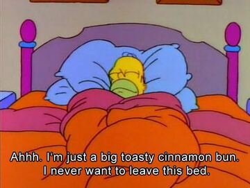 funny-homer-homer-simpsons-lazy-the-simpsons-favim-com-415875