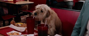anchorman-2-baxter-is-back