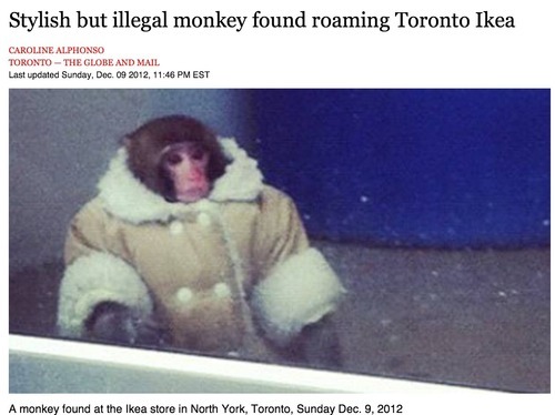 One Year On We Remember The Ikea Monkey The Daily Edge