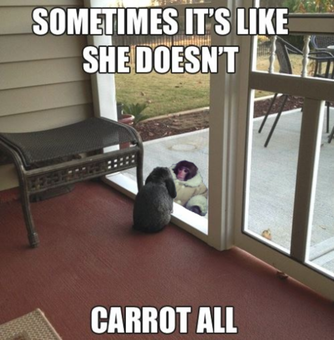 Introspective rabbit meets Ikea monkey - Imgur