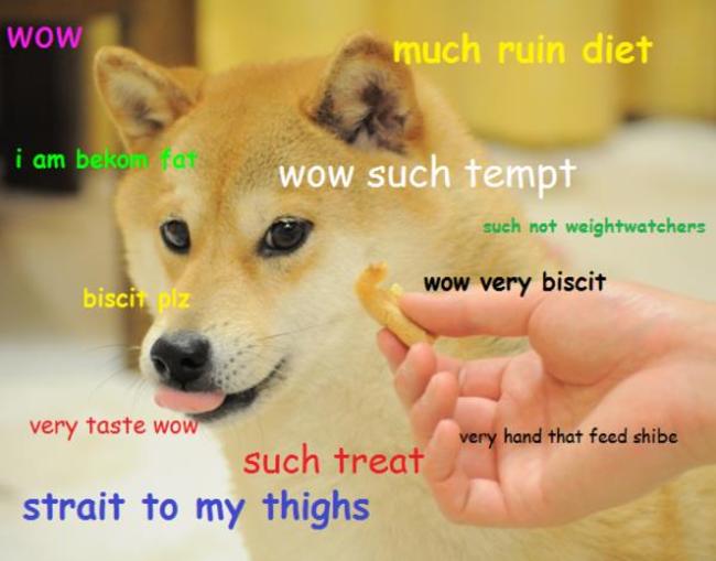 doge-cookie