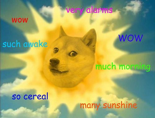 doge-sun-meme