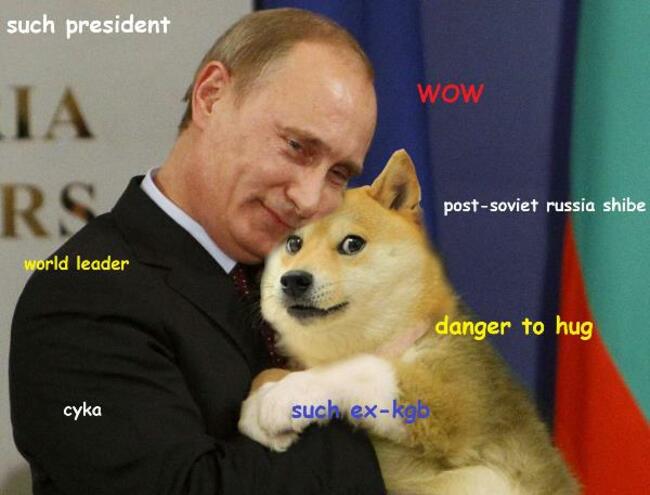 shibe-putin