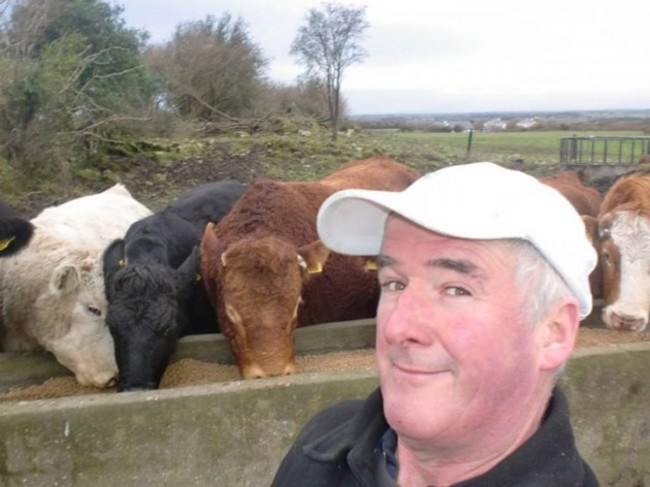 Tom Lally from Galway...WHAT DOES THE COW SAY? ...