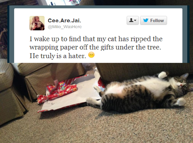 catpresents