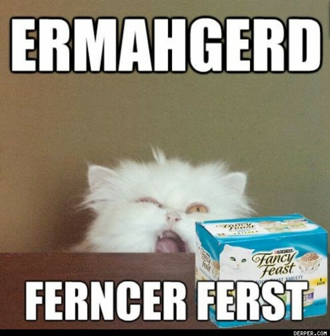 Ferncer_Ferst