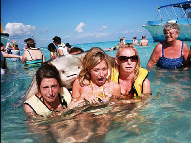 stingray-photobomb