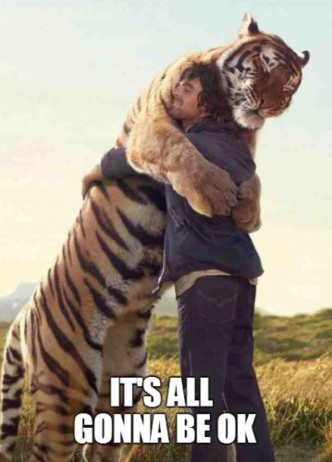 tigerhugginghuman