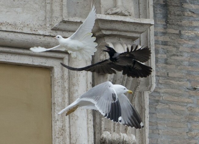 Vatican Pope Doves