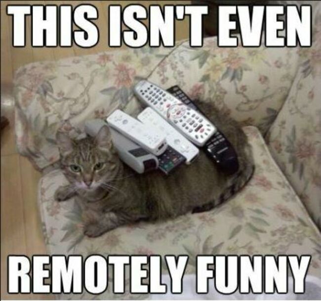remote