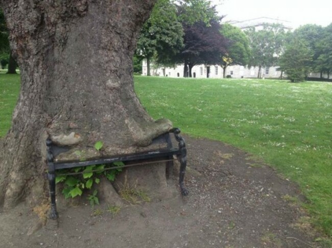 Dublins greatest public bench at the kings inns