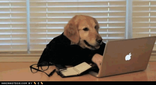 dog-typing