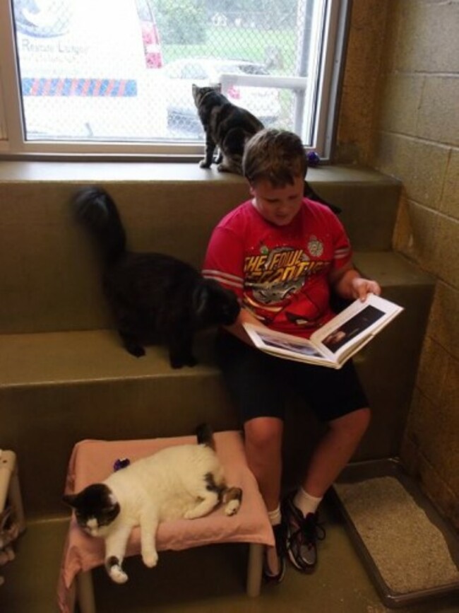 Book Buddies - Animal Rescue League of Berks County | Facebook