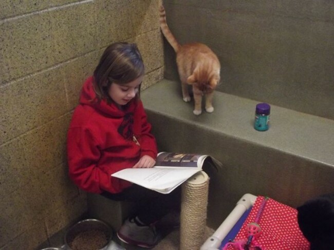 Book Buddies - Animal Rescue League of Berks County | Facebook