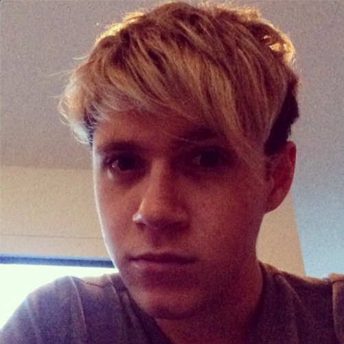 niallhoranhair