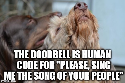 doorbell