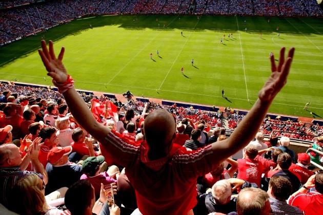 A Cork fan remonstrates from the crowd