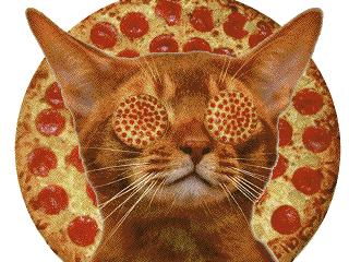 pizza-cat