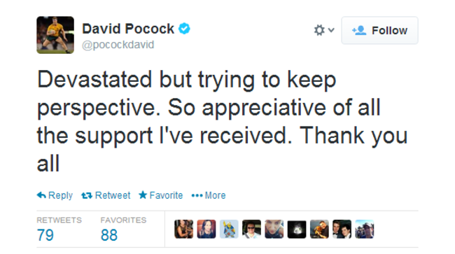 Pocock